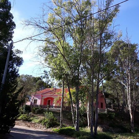 Casas Rurales "Paraje El Cajal" Ojós Zewnętrze zdjęcie