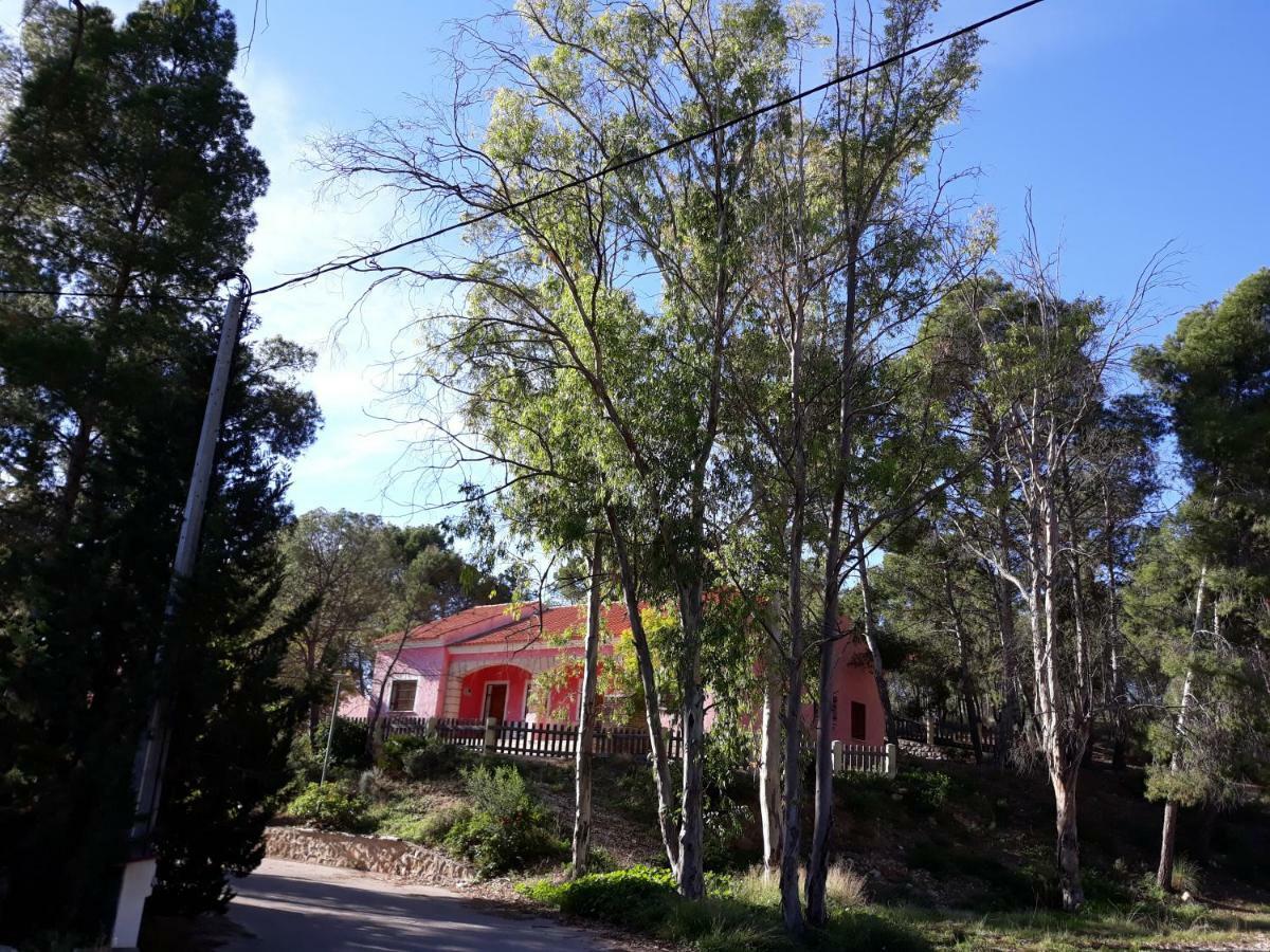 Casas Rurales "Paraje El Cajal" Ojós Zewnętrze zdjęcie