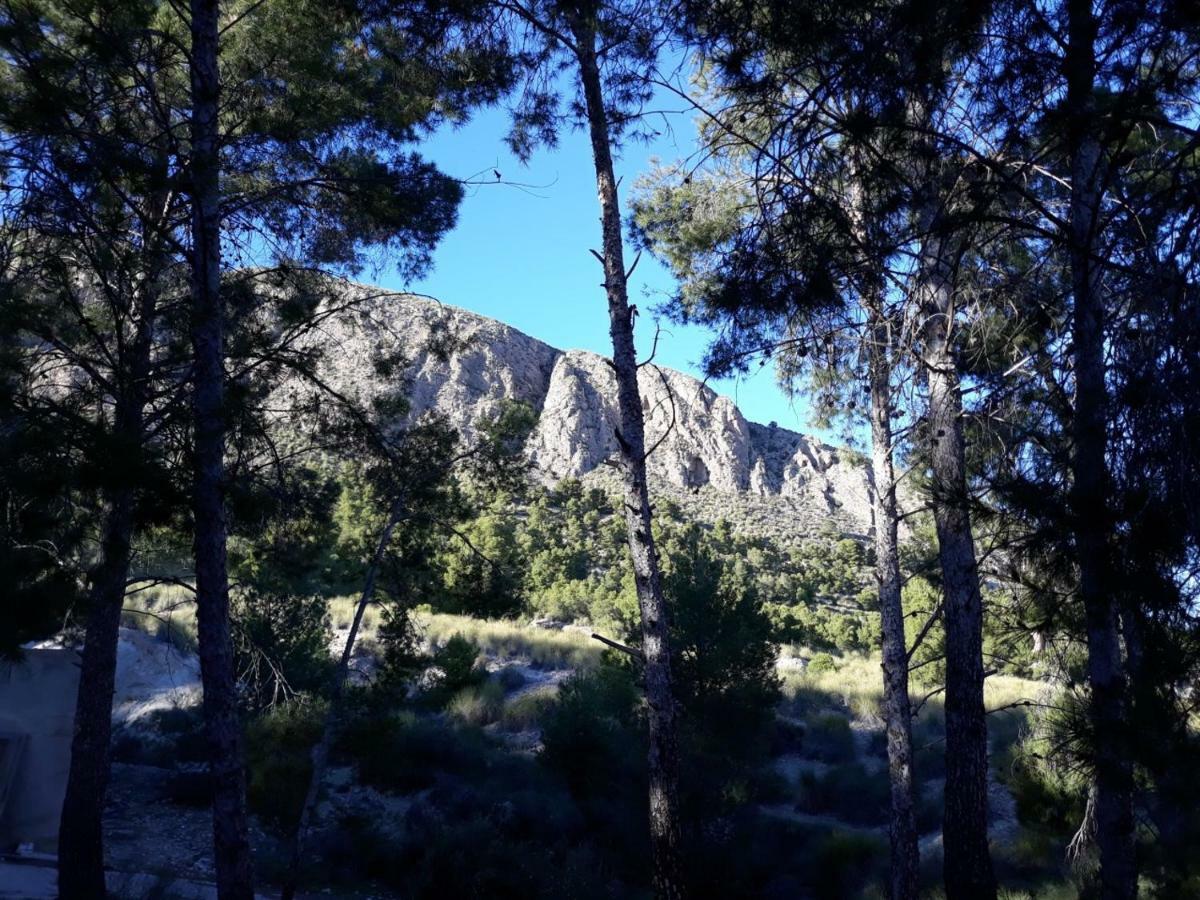 Casas Rurales "Paraje El Cajal" Ojós Zewnętrze zdjęcie